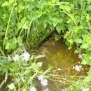 청담 바보 이미지