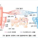 온골로 이미지