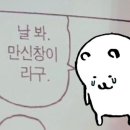 이화여자대학교 교육대학원 이미지