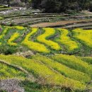 남해-311 이미지