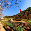 세지면사무소 이미지