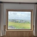 퐁낭에염 이미지