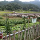 청아농장 이미지