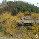 양평산수유펜션 이미지