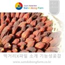 삼도봉농장 | 삼도봉 농장 아로니아 곶감 으로 만든 겨울 주전부리 호떡~!