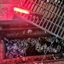 동양모터스 이미지