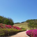 입점리고분전시관 이미지