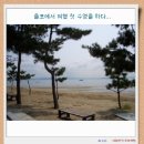 회령 주유소 이미지