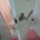 장제로110번길 이미지