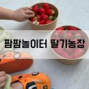 춘기농장 이미지