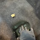 라엘카케어 이미지