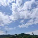 영암카페 무화정 베이커리까지 완벽했던 대형카페 솔직후기