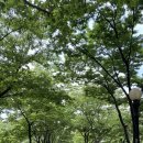 평촌공원 이미지