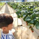 희준농장 이미지