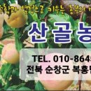 산골복숭아농장 이미지