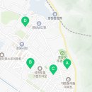 사파동239 이미지