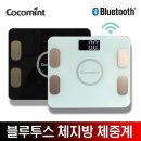 코코민트 - 양주시 고읍남로191번길 85-81 | 코코민트