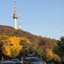남산 - 강남구 삼성로 648 | 남산
