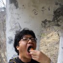 묘암리 티스토리