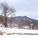 도원축산 이미지