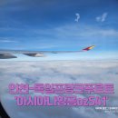 541 | 인천-독일 프랑크푸르트 아시아나항공 OZ541이코노미 탑승후기및기내식