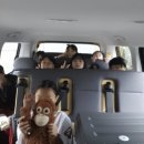 밝은빛 태권도 이미지