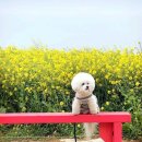 오늘도땡큐 이미지