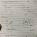 로제트리 이미지