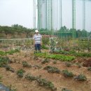 3형제농장 이미지