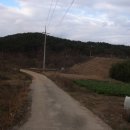 회귀-모정 이미지