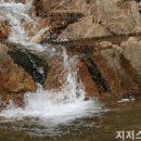 현대대중탕 이미지