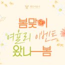 웨딩여율리
