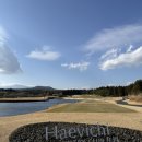 골드레이크컨트리클럽(회원제) | 제주골프여행 제주겨울골프 해비치 제주cc 팜, 레이크 코스 내돈내산 2인 라운딩 추천 후기