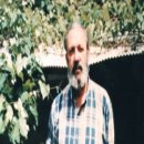 푸른영상 이미지