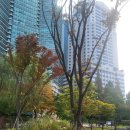 보라매농산2