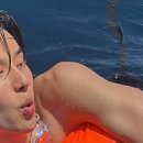 버블스토어 이미지