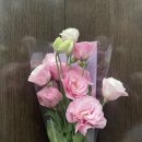 행복을주는꽃 이미지