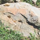 제주땅 어디에나 있는 돌에 생명 불어넣던 ‘돌장인’ 이미지