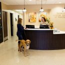 진보동물병원 이미지