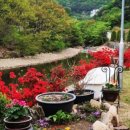 예다움펜션 이미지