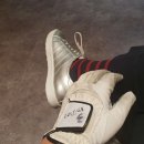 금강스크린골프 이미지