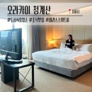 오라카이 청계산 호텔 | 서울 호캉스 오라카이 청계산 호텔 | 테라스 스위트 내돈내산 후기
