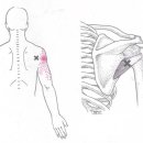 이즈메디의원 이미지