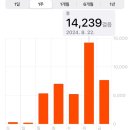 여름 끝나기 전에 혼자 강릉 당일치기 +바다피크닉