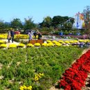 형산강상생자전거길3 이미지