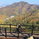 제1코스 | 경기도 안산 수리산 수암봉 제1코스 단풍산행 후기 (11/10)