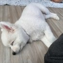 해변산장여관 이미지