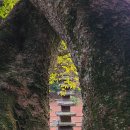 제주 불탑사 오층석탑 이미지