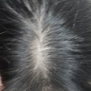 563 | [후기] 563랩 타투핏 헤어 컬러 다크브라운 전후 후기