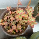 뷰티바이올렛 이미지